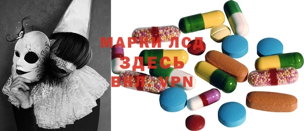 прущие грибы Богданович