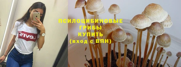 ГАЛЛЮЦИНОГЕННЫЕ ГРИБЫ Богородск
