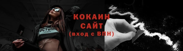 прущие грибы Богданович