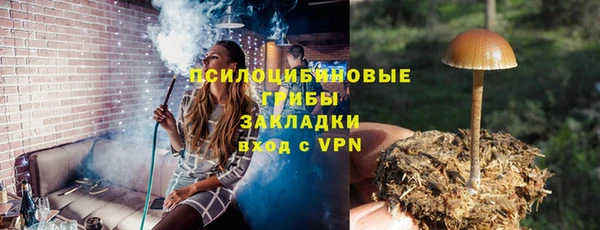 прущие грибы Богданович
